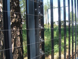 Photo of an electric fence